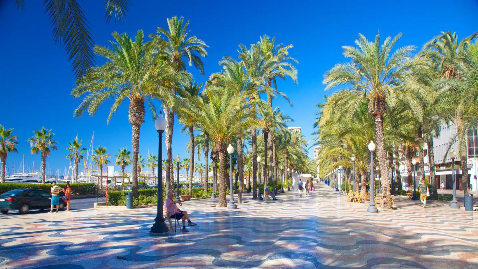Apartamento Ideally Located And Alicante