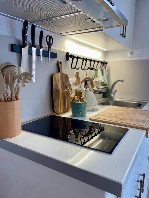 Apartamento Cozy 1-bdrm In Center