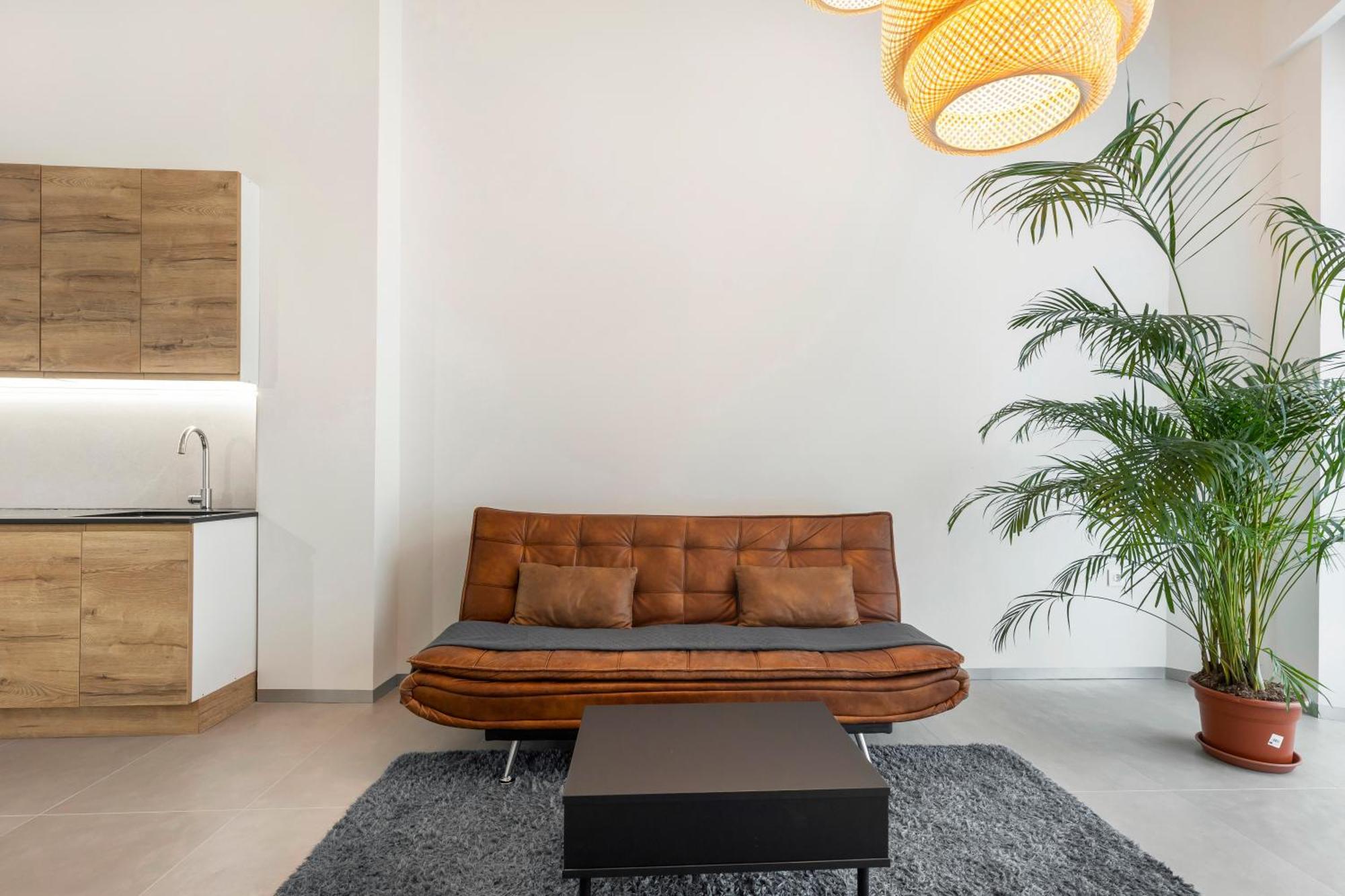 Evolution Luxury Center Apartment