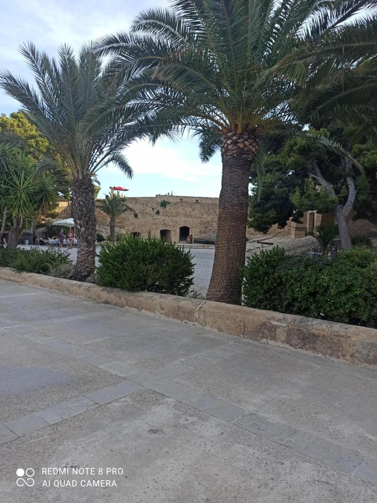 Ricardo 3 Alicante