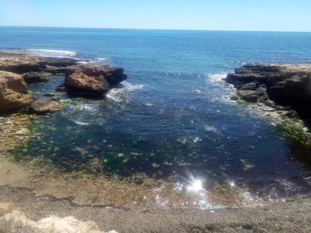Apartment все что нужно, всегда рядом Alicante