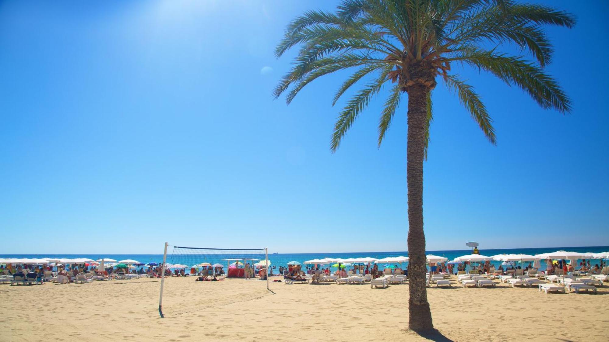 Hb - Mercado - Rambla - La De La Playa