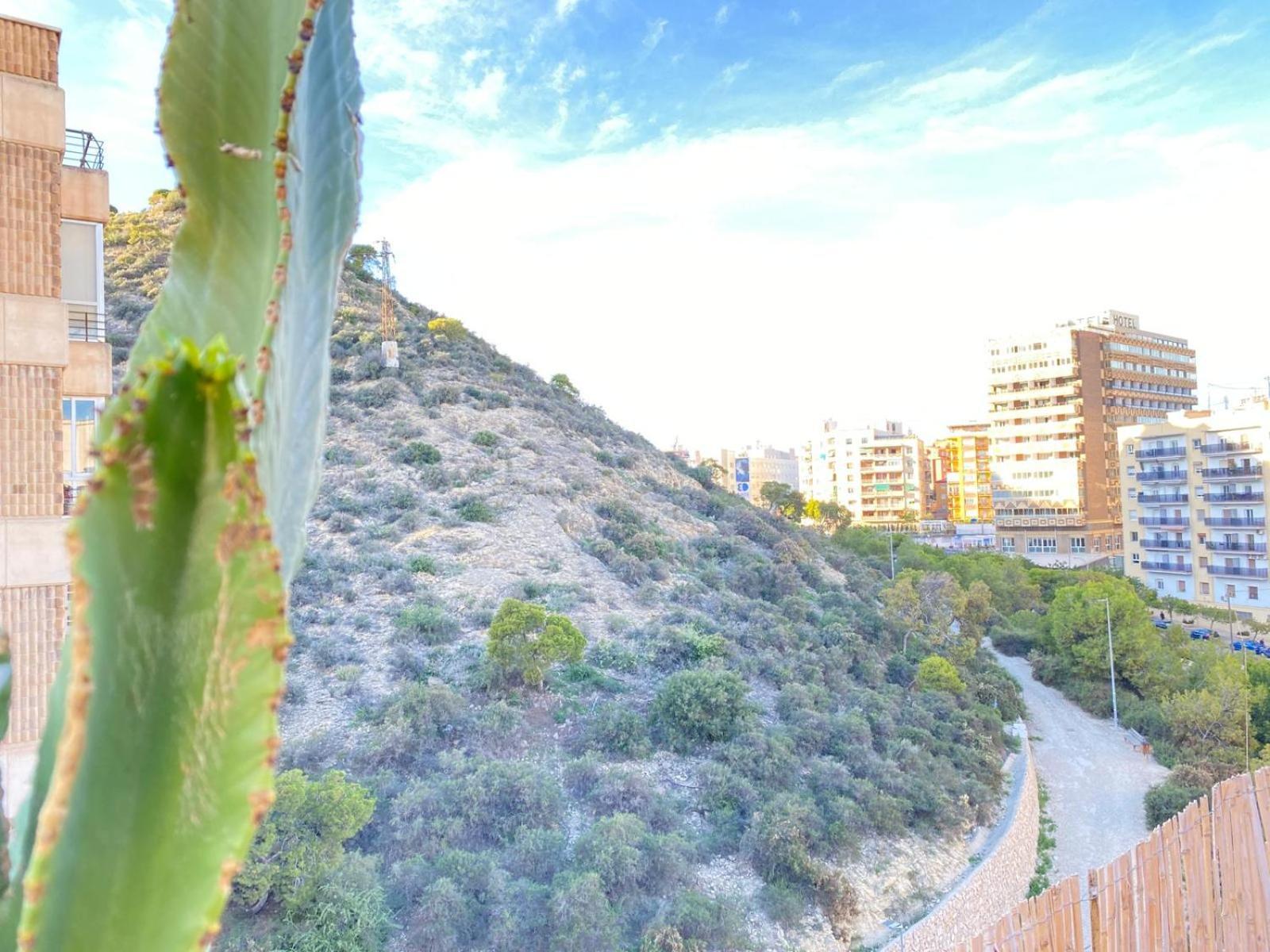 Sea View Penthouse Santa Barbara Alicante