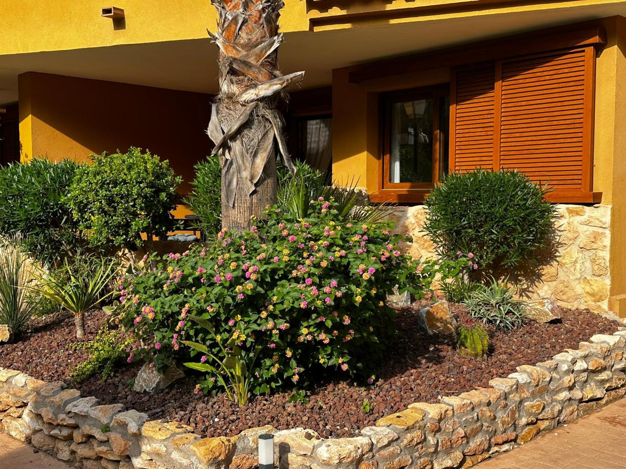 Apartment Ground Floor Punta Prima Looking At The Pool