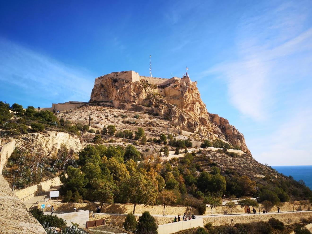 Rivera#2 Alicante
