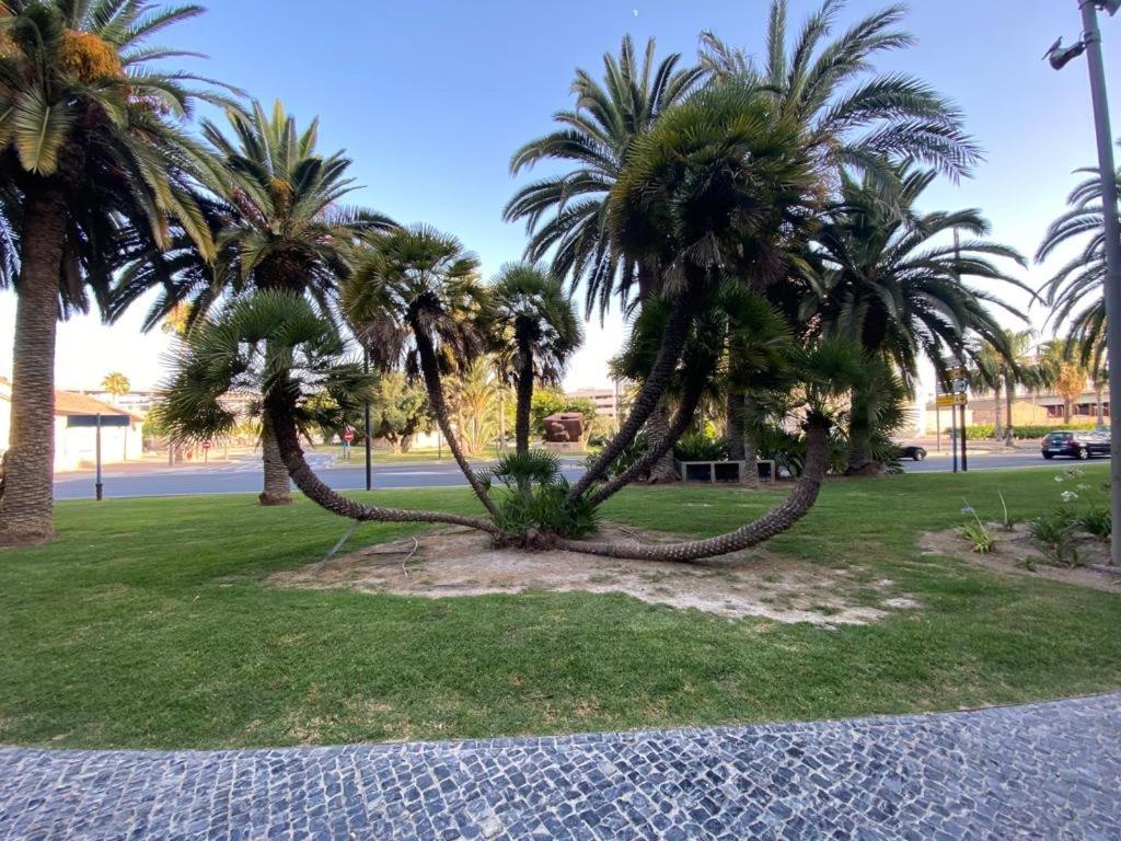Tropical Loft Alicante
