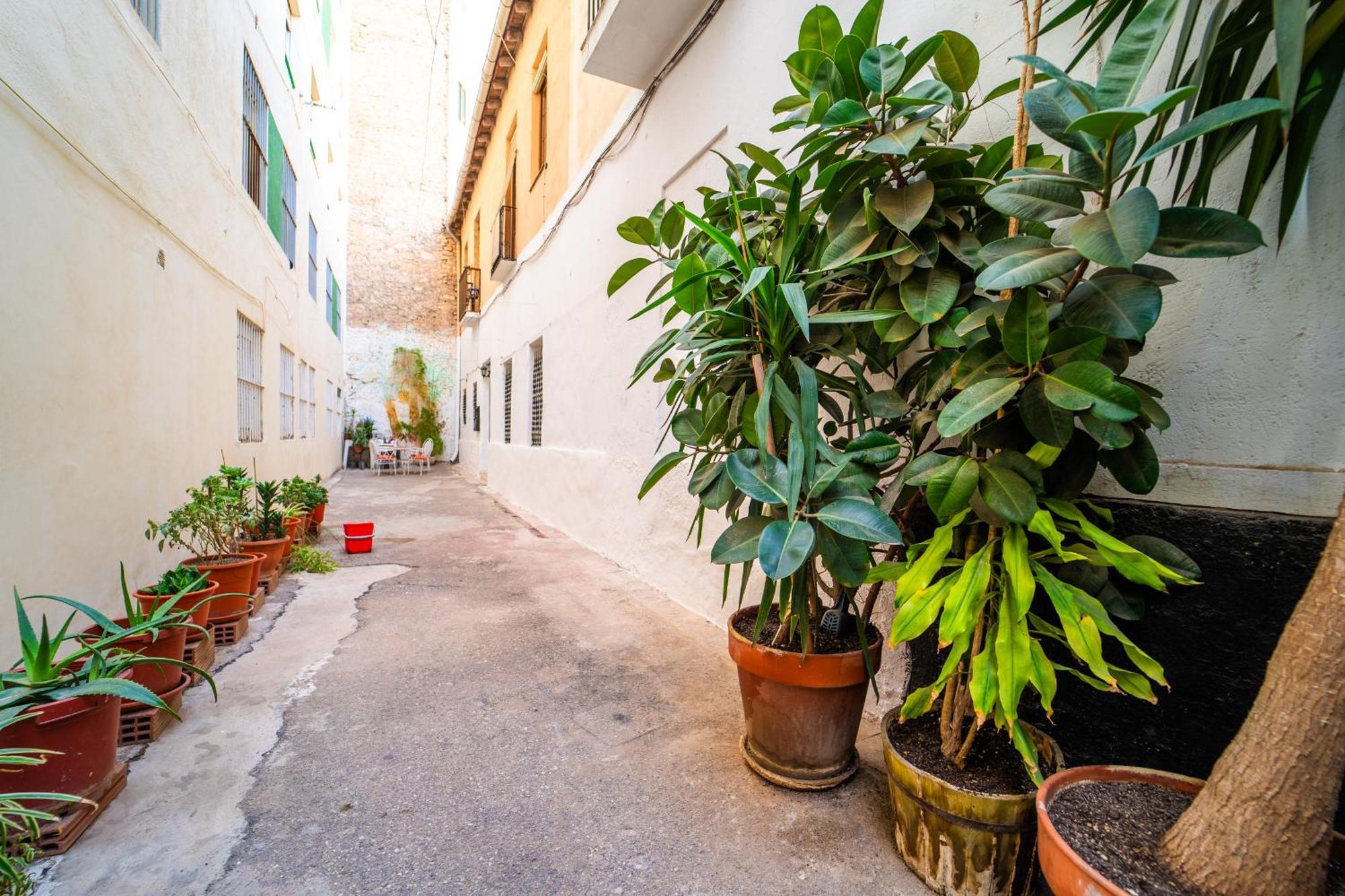 Urban Retreat Spacious Comfort Near * Alicante