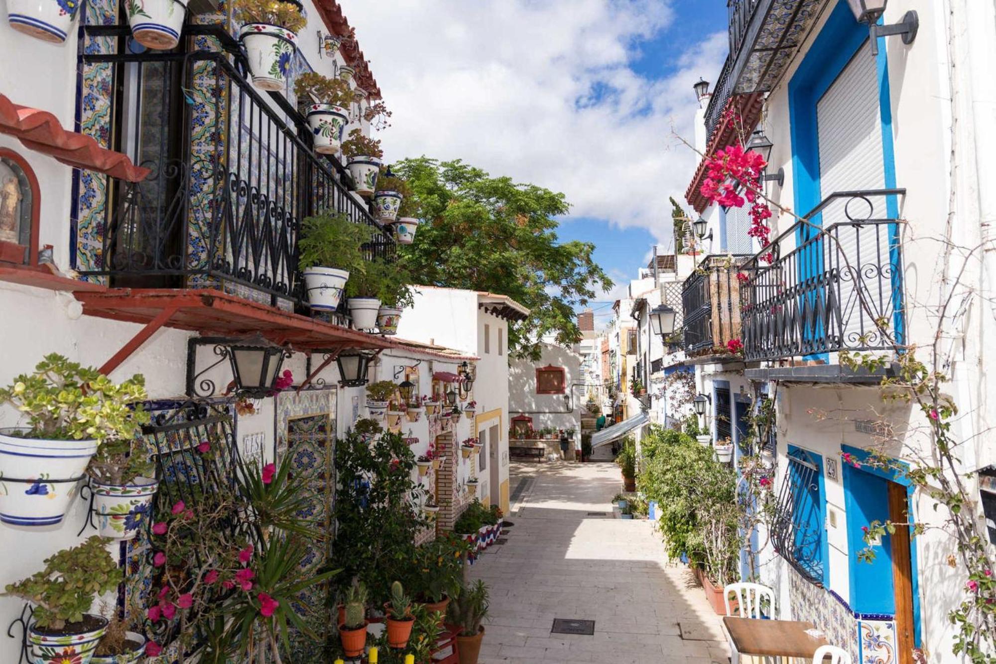 Apartment 15 Minutes Walk To The Centre And 3 Bedroom Deluxe -esp1yr Alicante