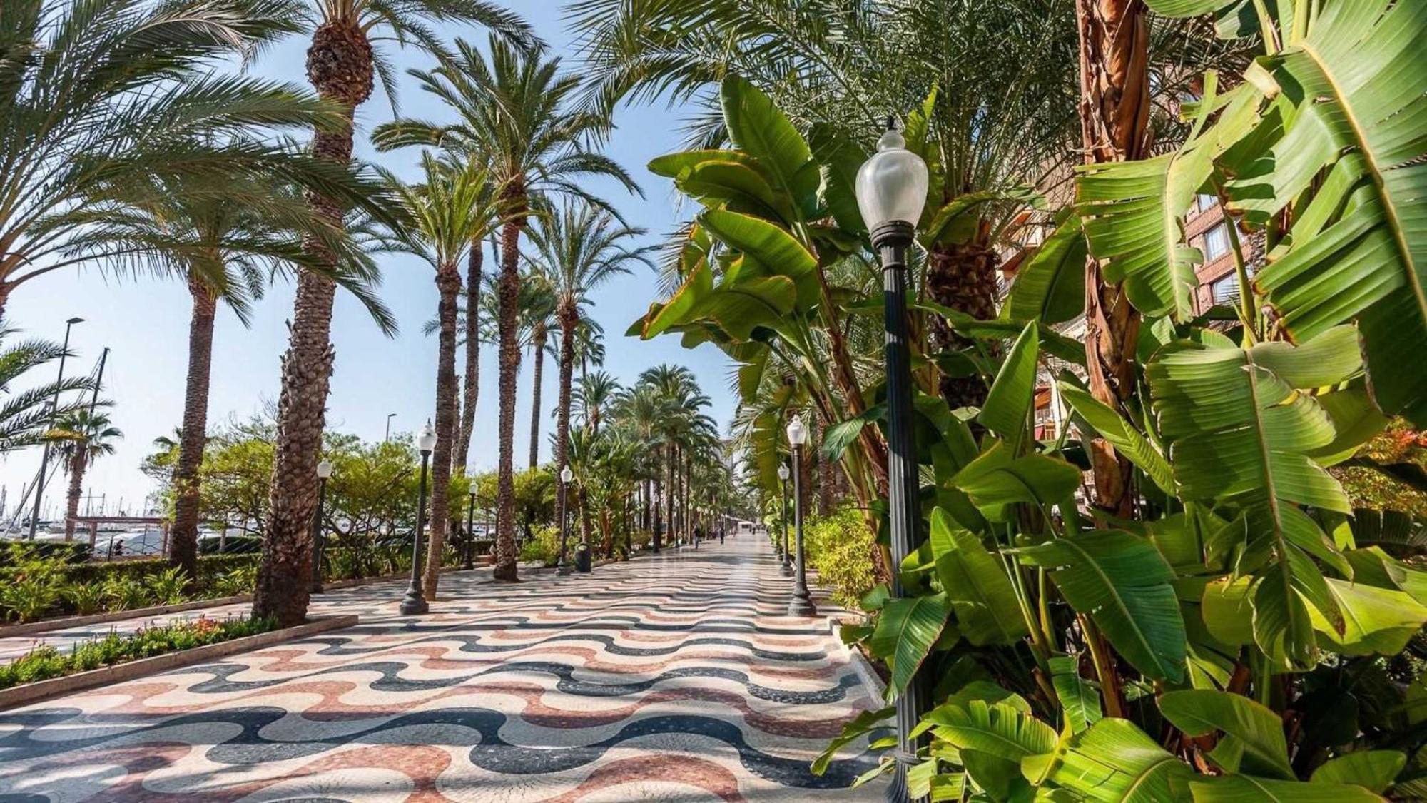 1 Bedroom And Modern Ideal For The And Centre Alicante