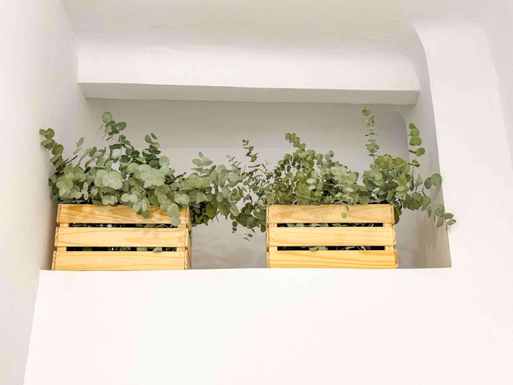 Casa Viravens Estilo Y Relax Cerca Del Centro Alicante