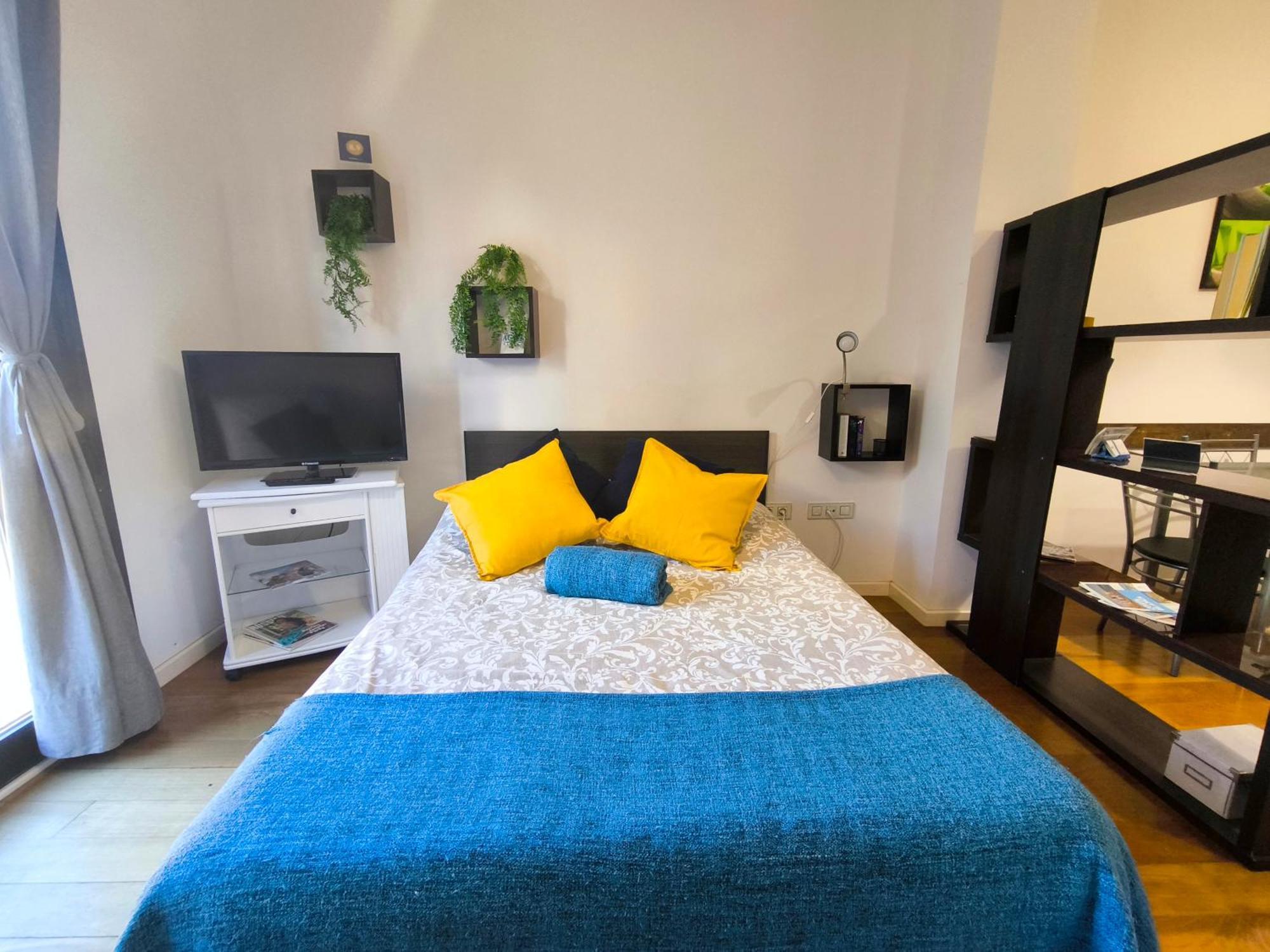 Apartament - Studio Abad