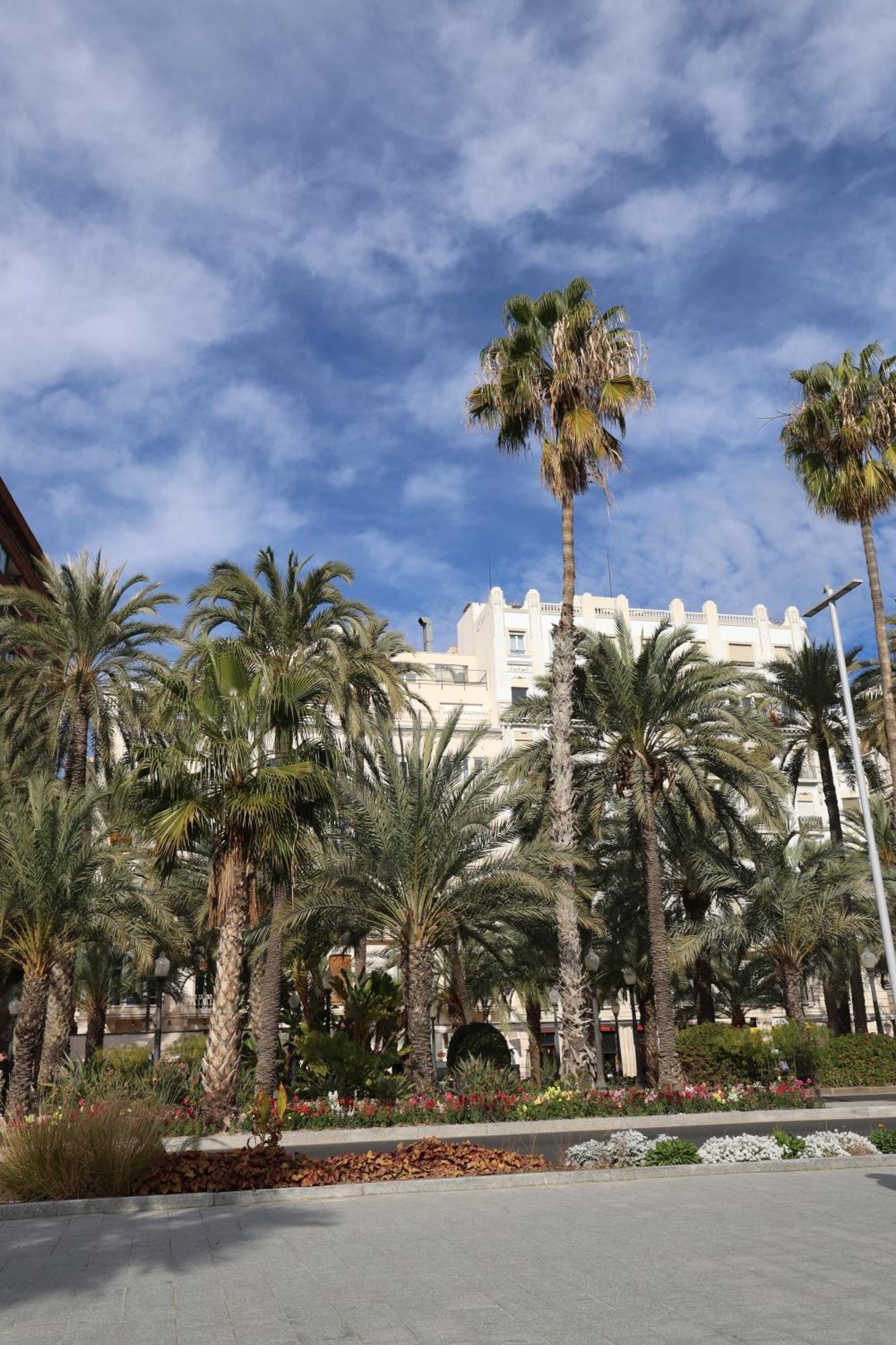 Hospedagem domiciliar Alicantan Vital Experience Alicante