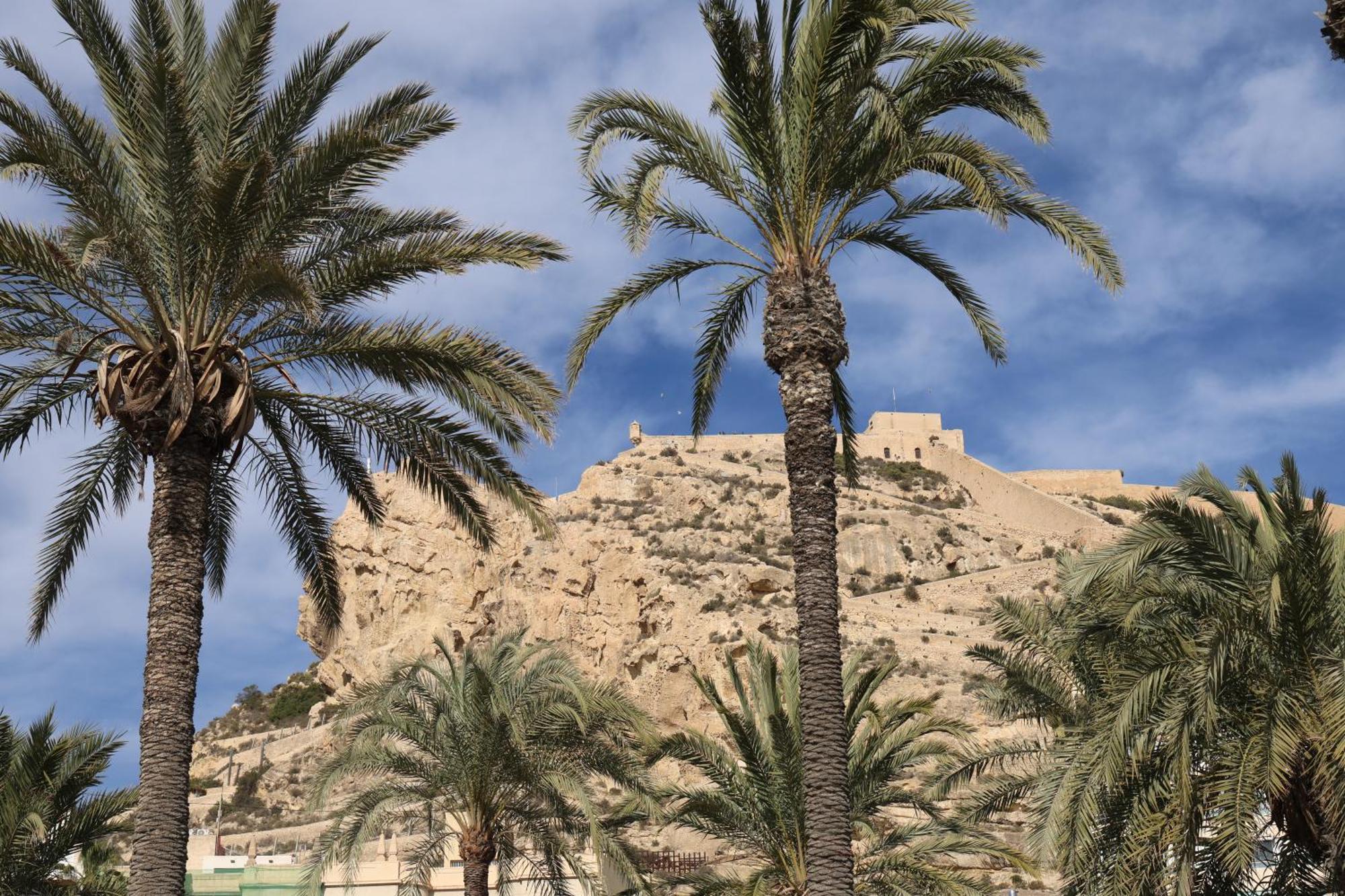 Hospedagem domiciliar Alicantan Vital Experience Alicante