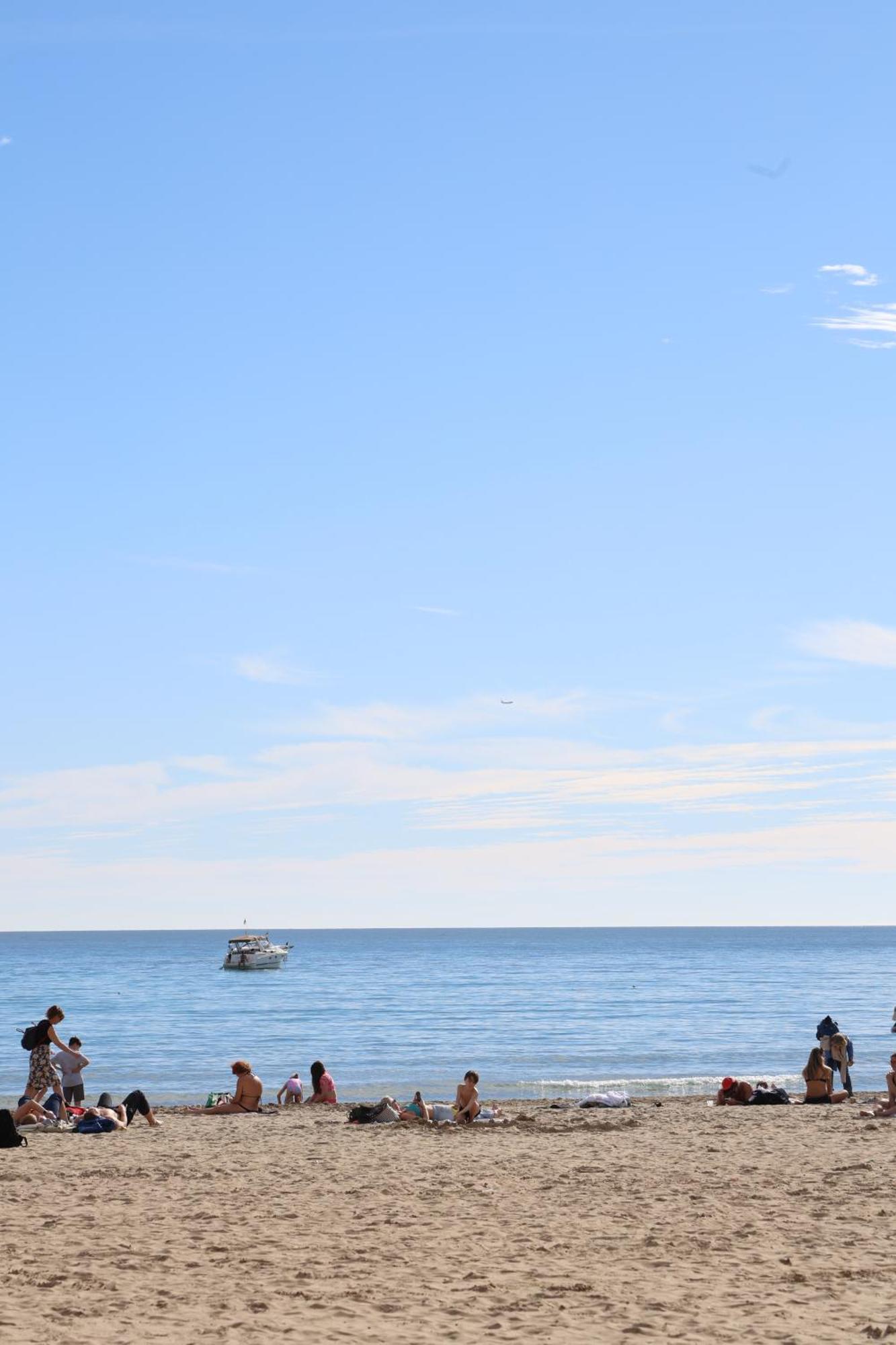 Alicantan Vital Experience Alicante