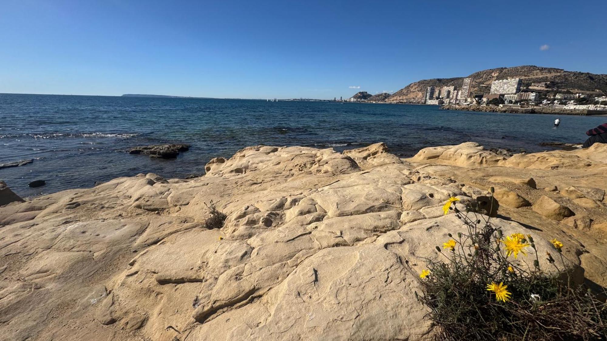 En Alicante, Playa San Juan Con Piscina By Elconserje