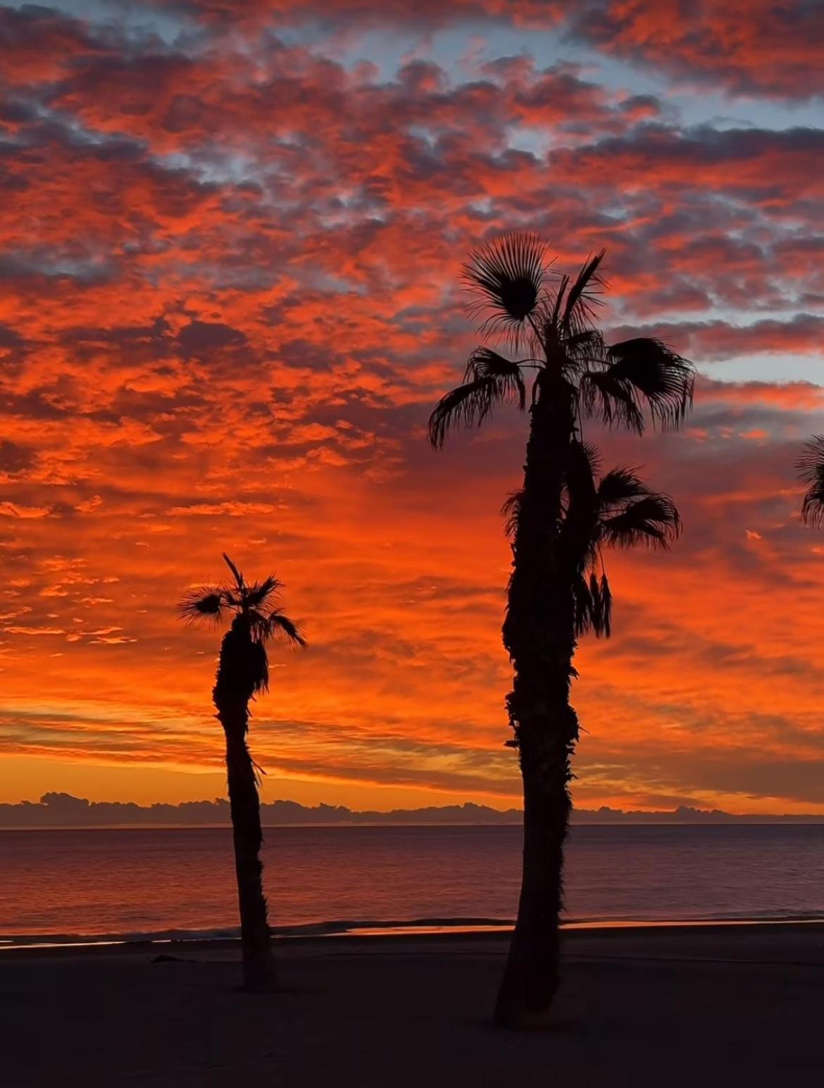 Stunning Sea View * Alicante
