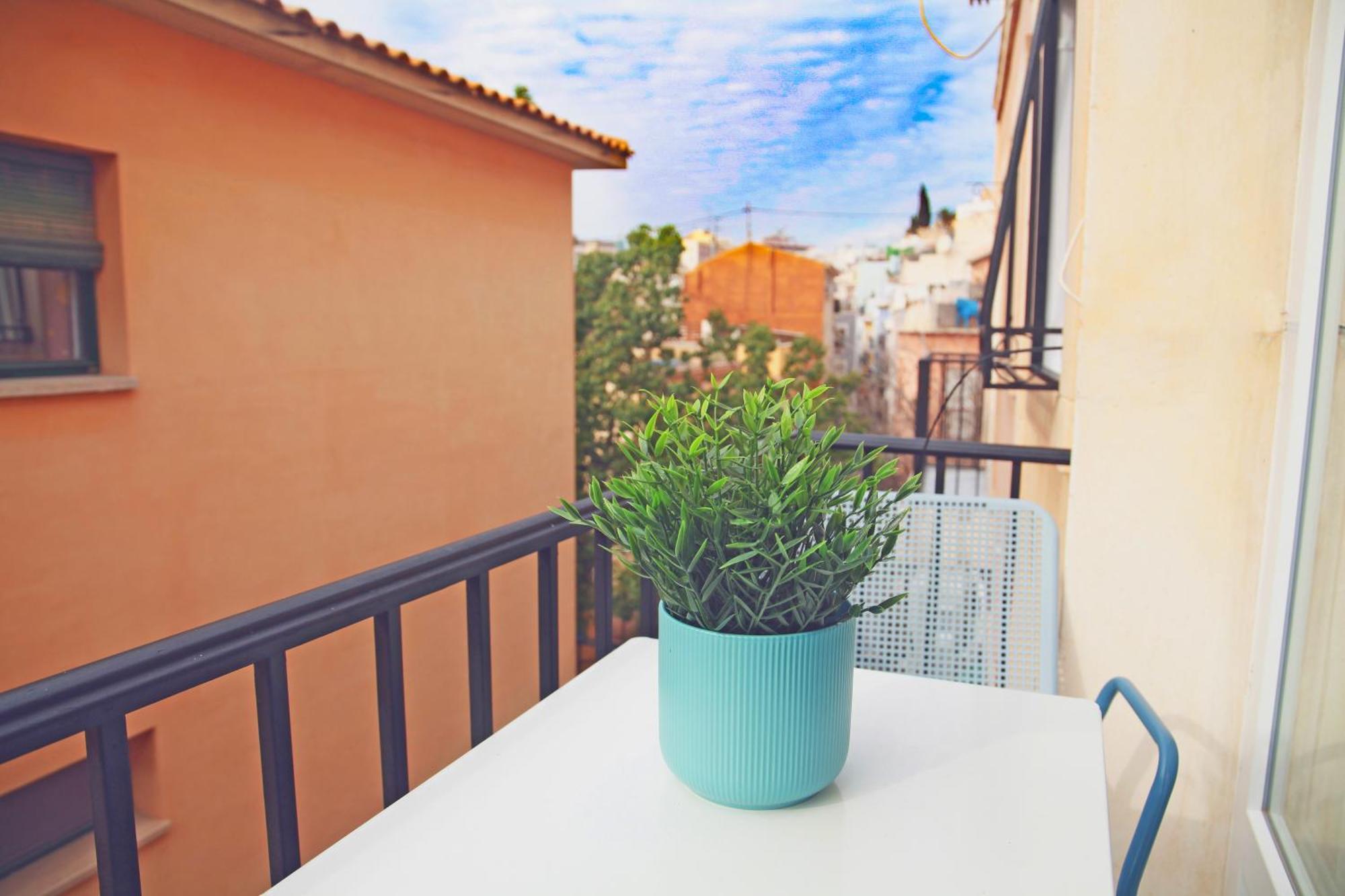 Duplex Nuevo Terraza Centro Alicante