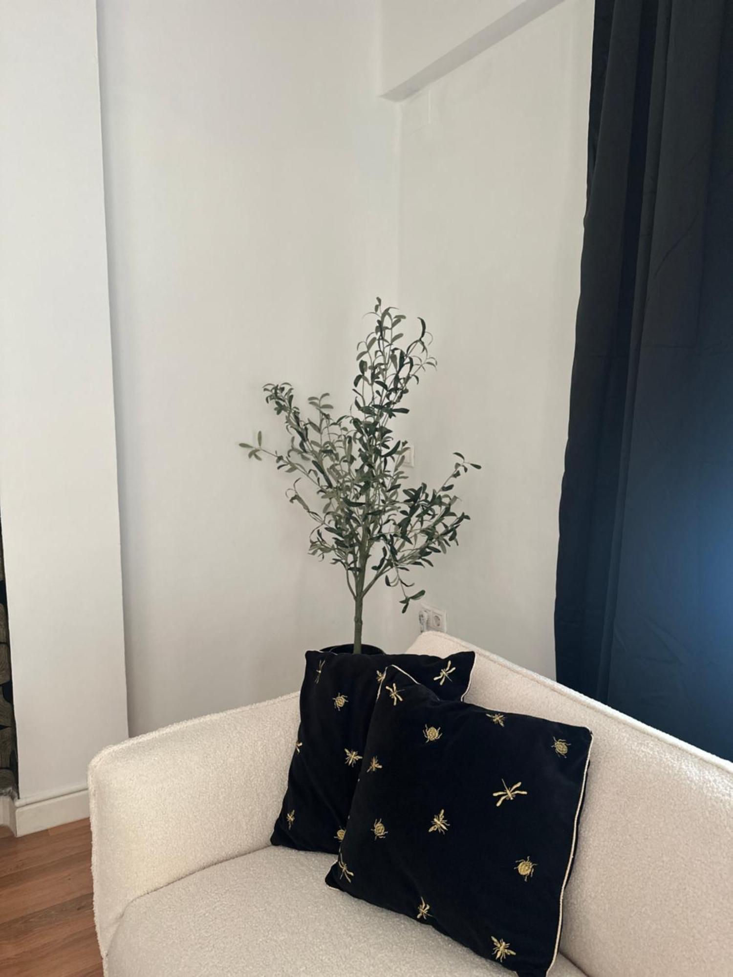 Rambla Flat 10 *