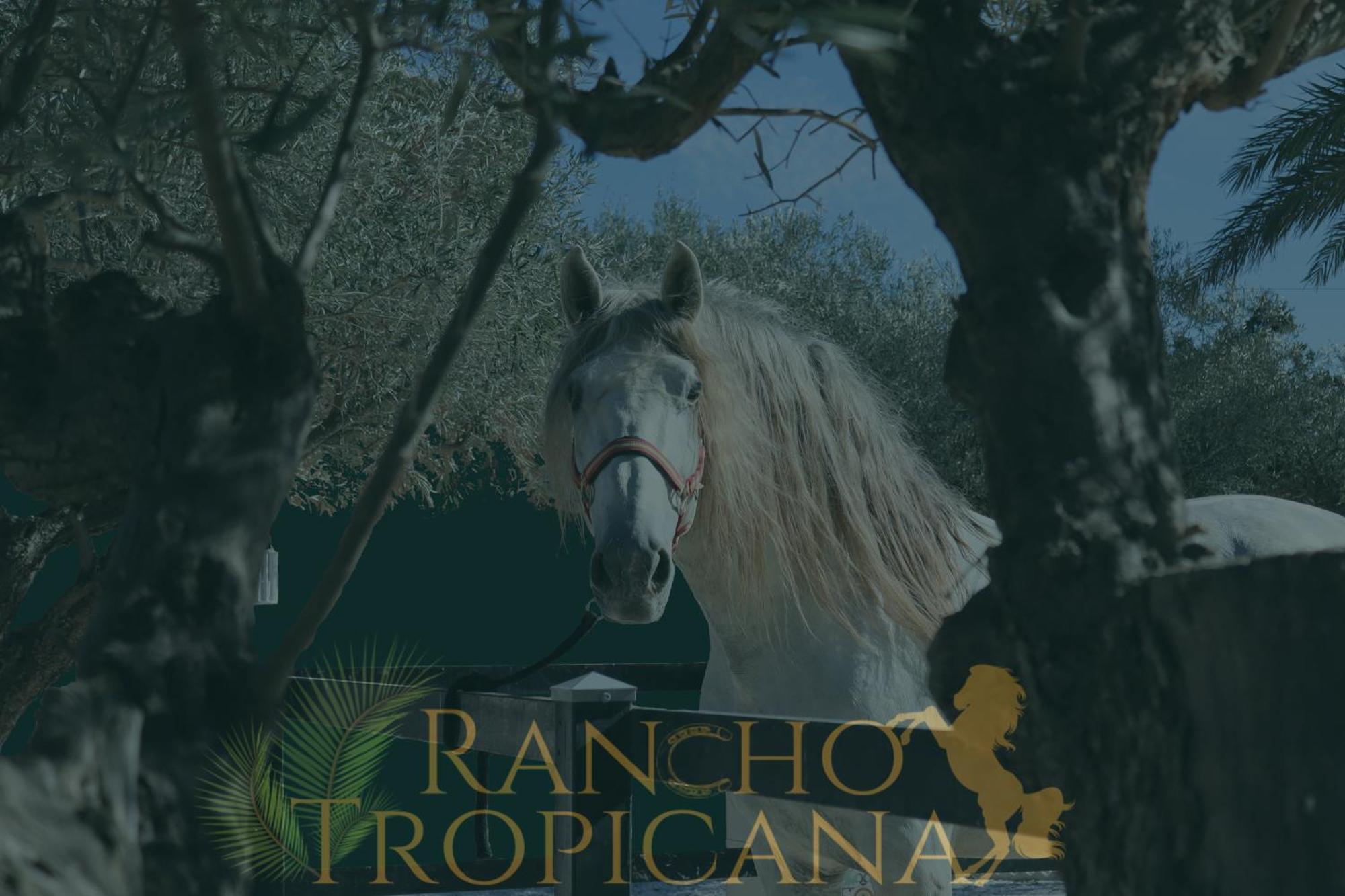 Rancho Tropicana Alicante