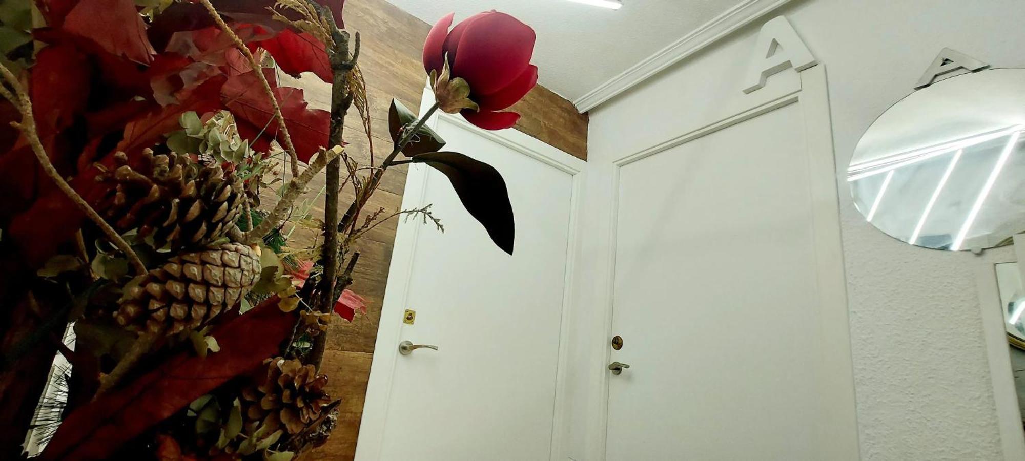 Appartement Modern In Alacant 60m² Wheelchair Accessible Alicante