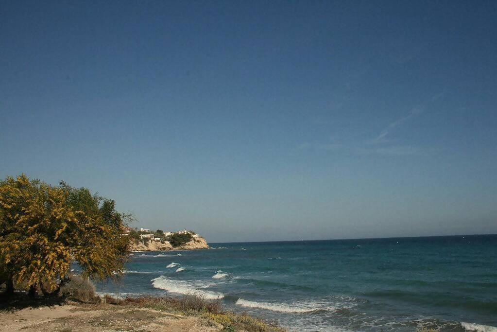 Alkabir Townhouse El Campello Vakantiehuis *