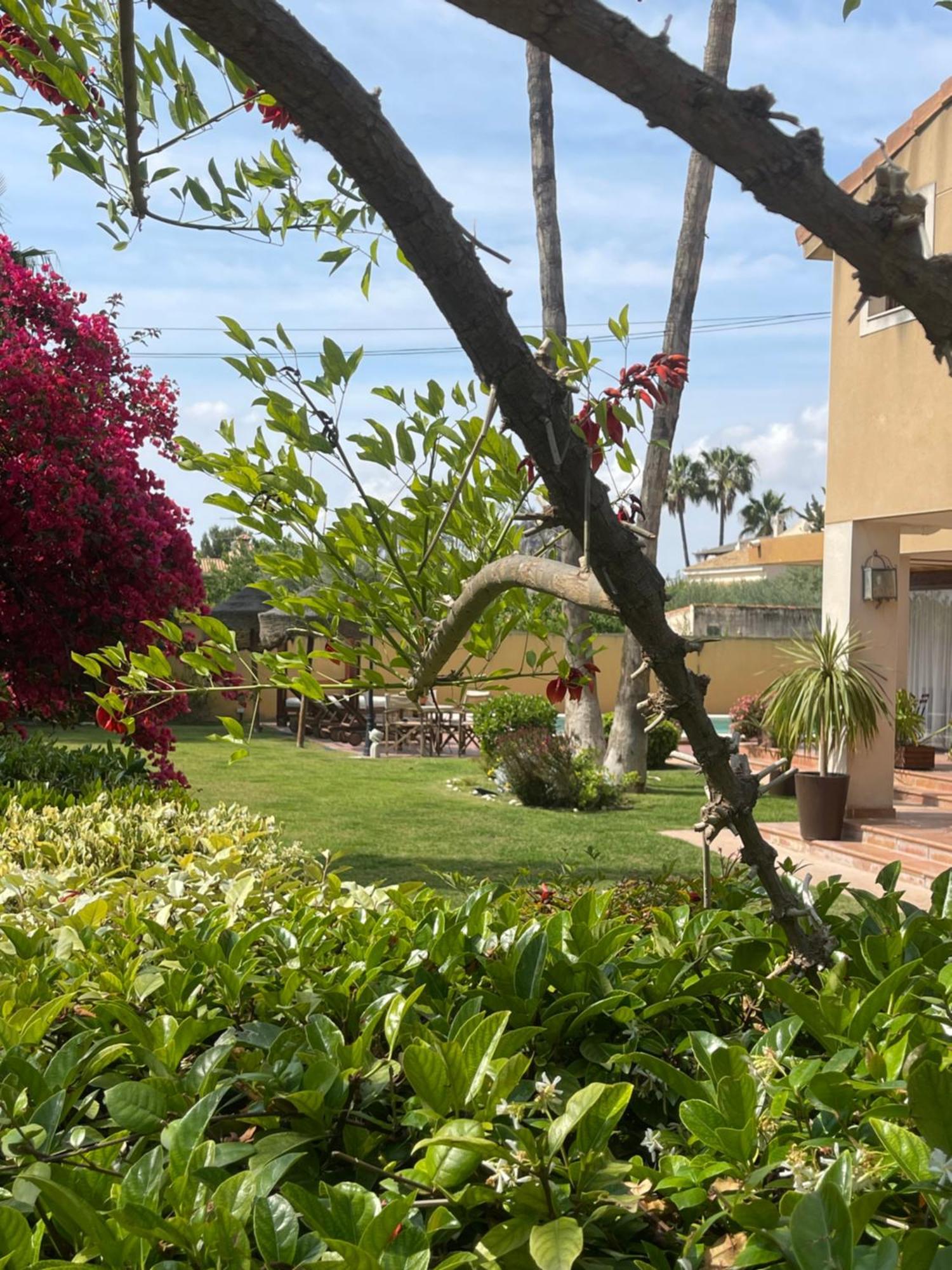 Ferienhaus ***chalet Alicante*** Experiencia Unica