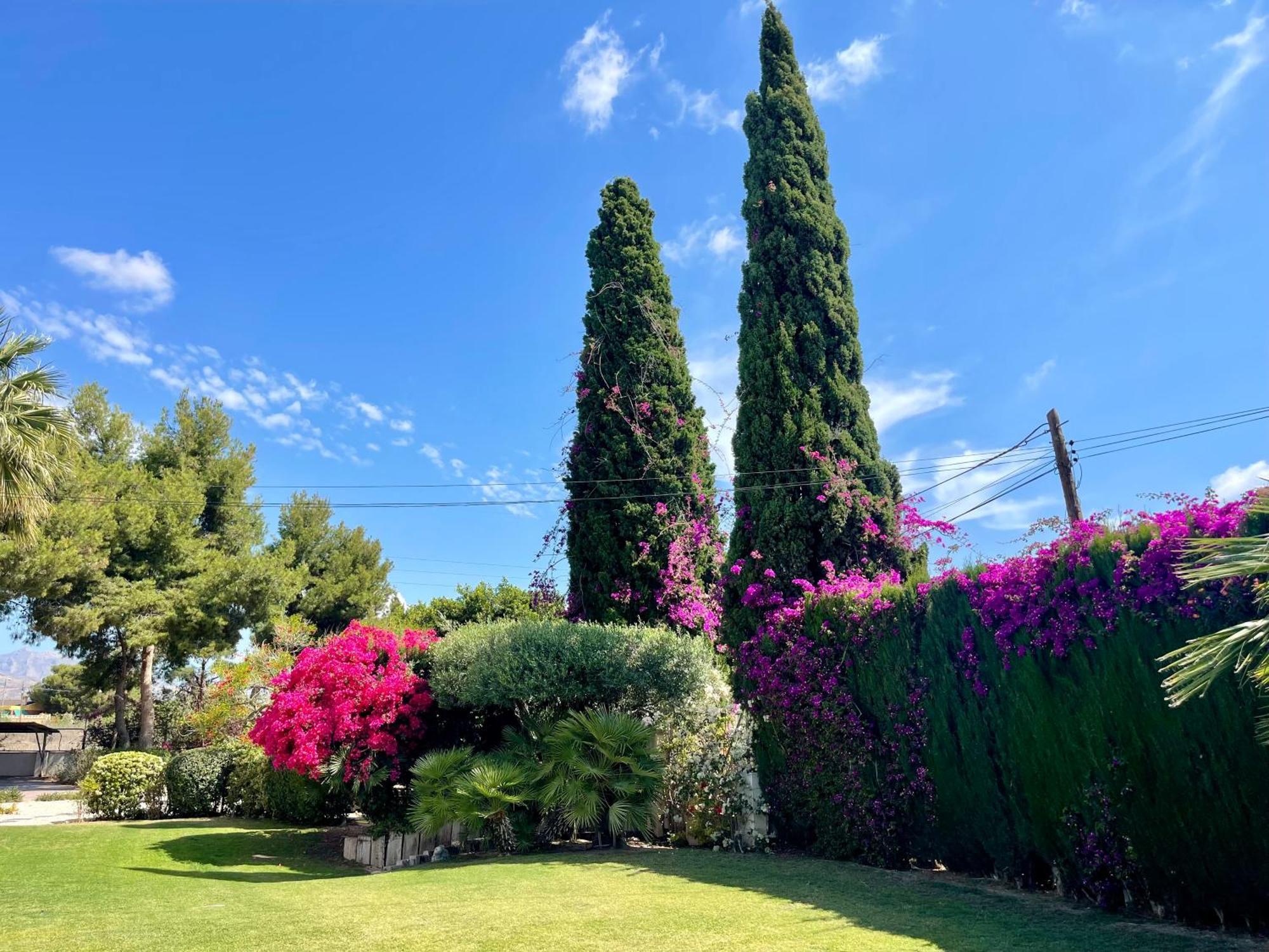 ***chalet Alicante*** Experiencia Unica *