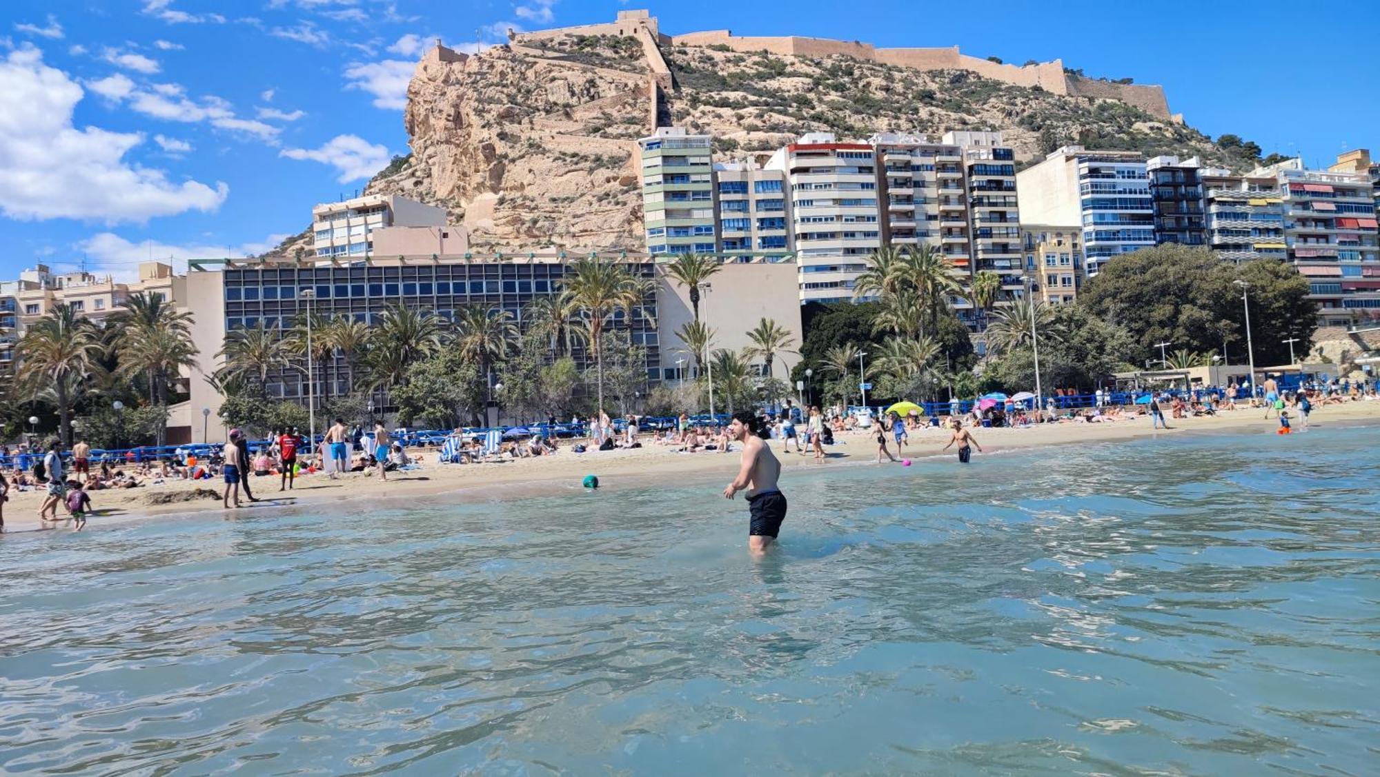 Big Alicante
