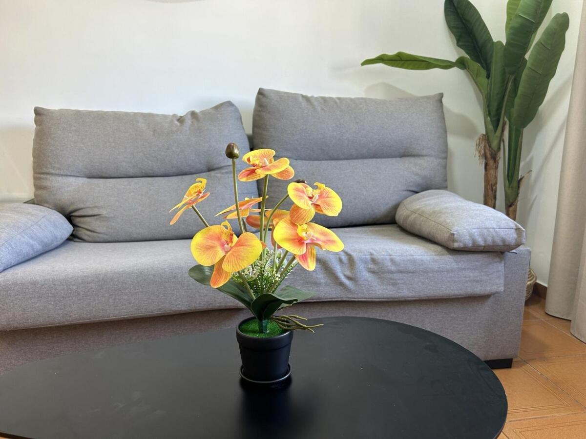 En Rambla 4 Pax Apartment *