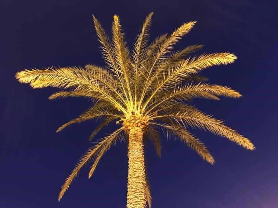 Stunning In Old Town, Centre & * Alicante