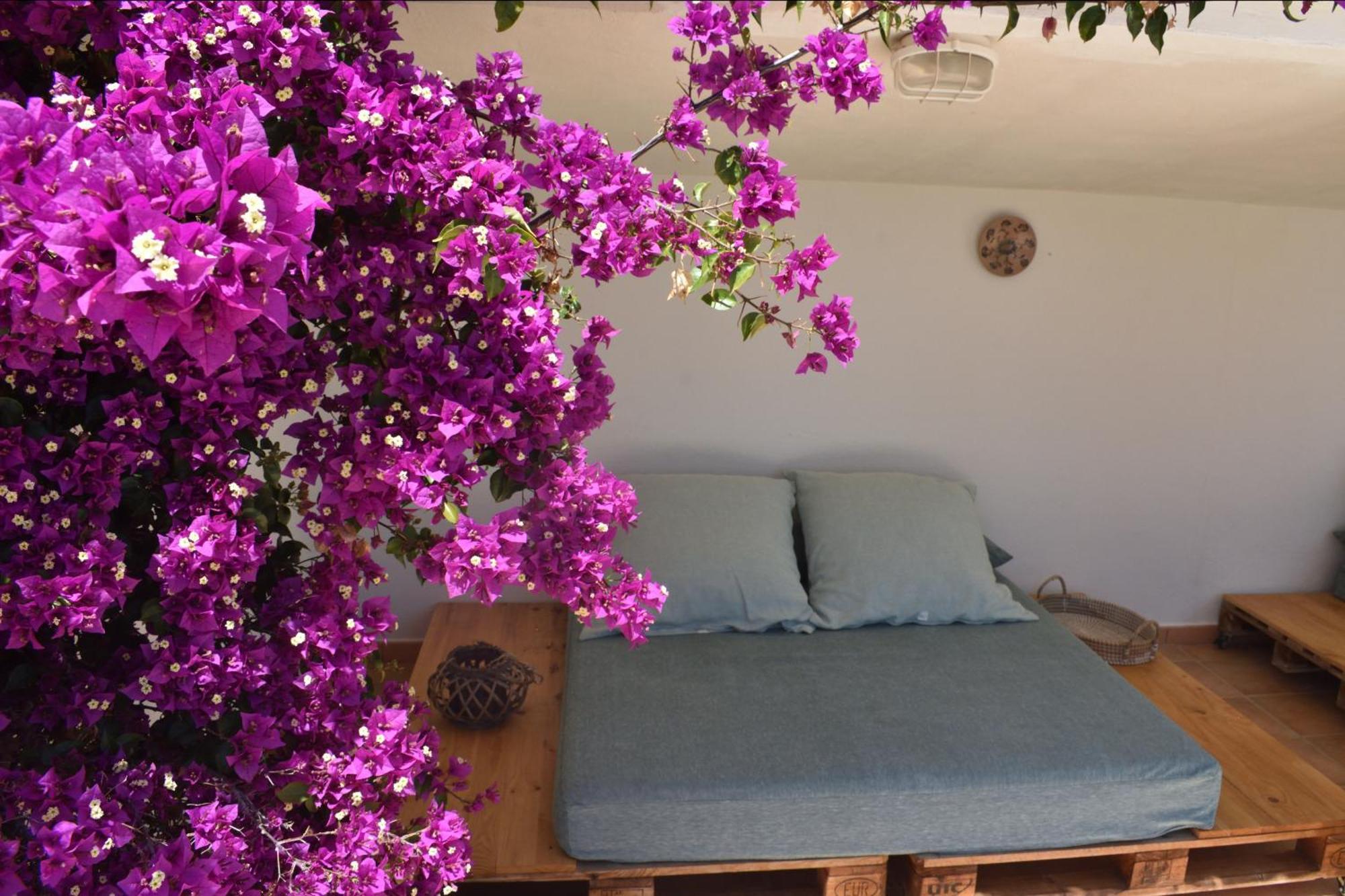 La Casa De La Oma -la Caseta Ferienhaus *