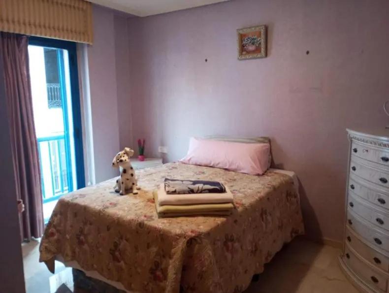 Homestay комната в квартире центре с прживанием в семье *