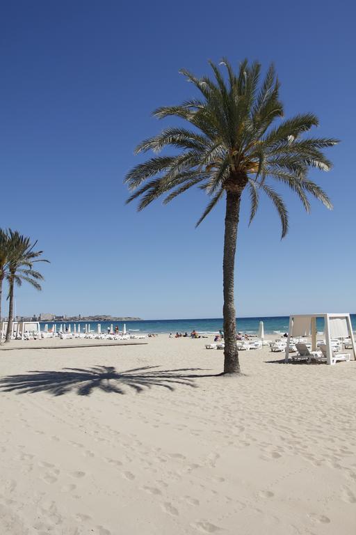 Playa A 500m En Centro Historico Alicante- Holidays B&f