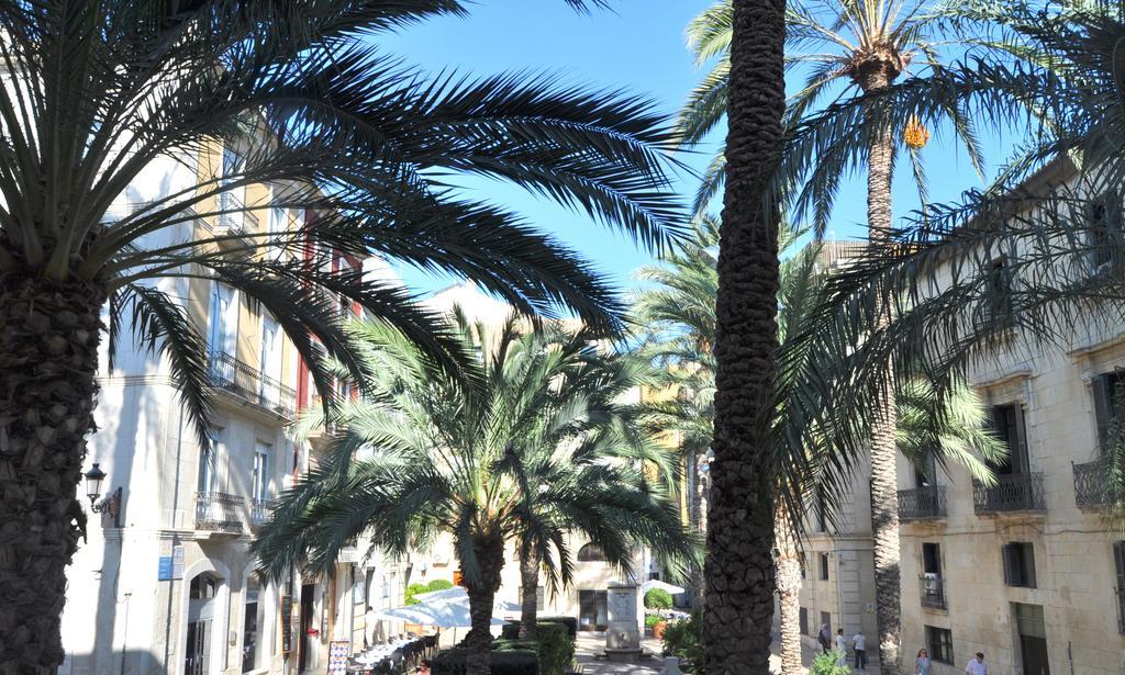 Santisima Faz Alicante
