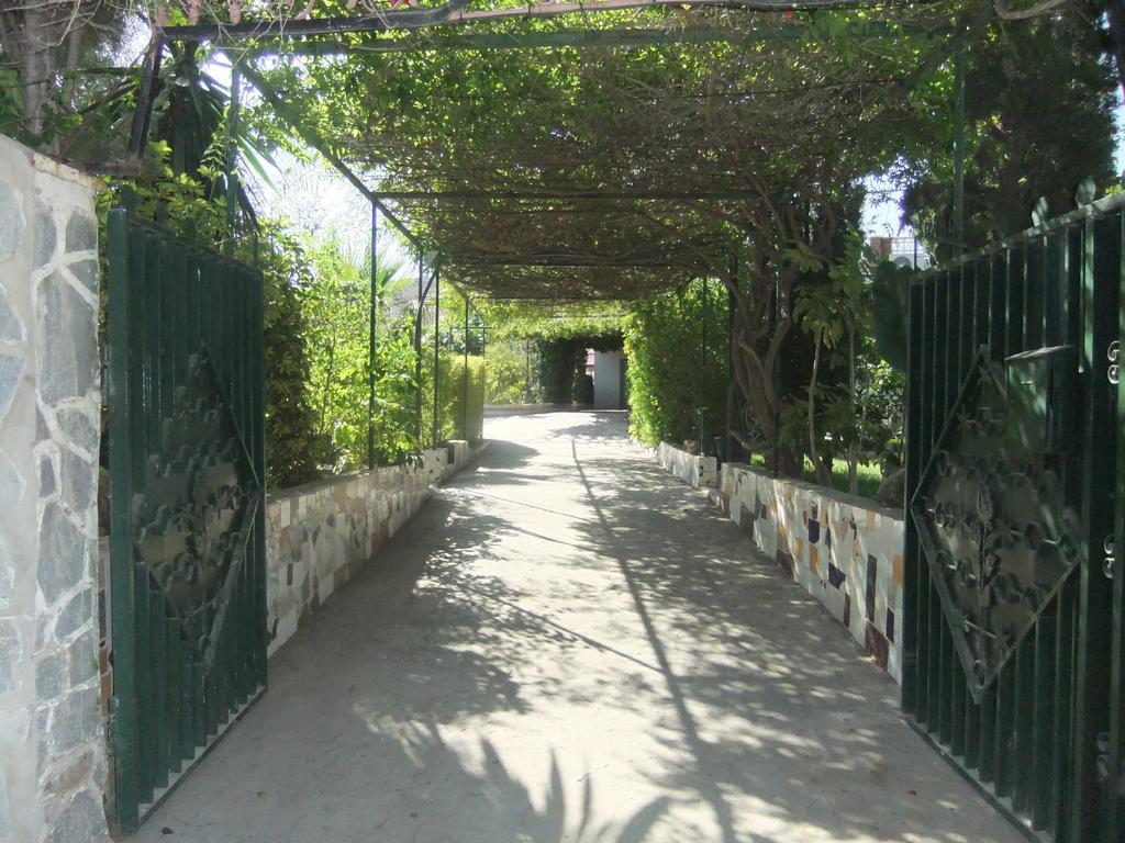 La Serreta Alicante