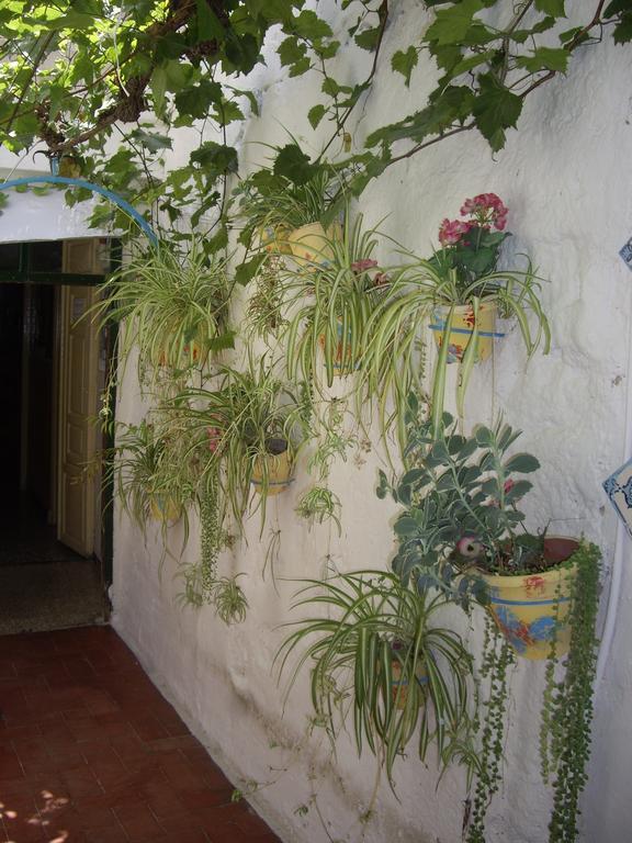 Guest house Versalles *