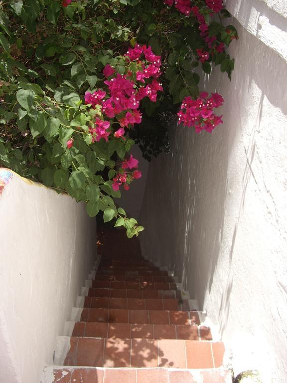 Guest house Versalles