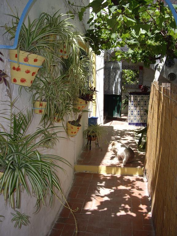Guest house Versalles *