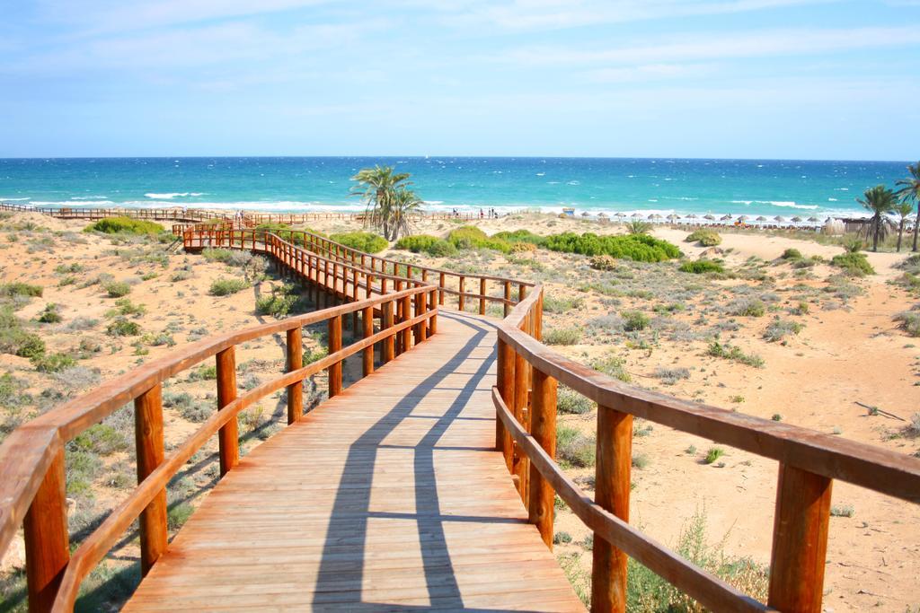 Nova * Alicante