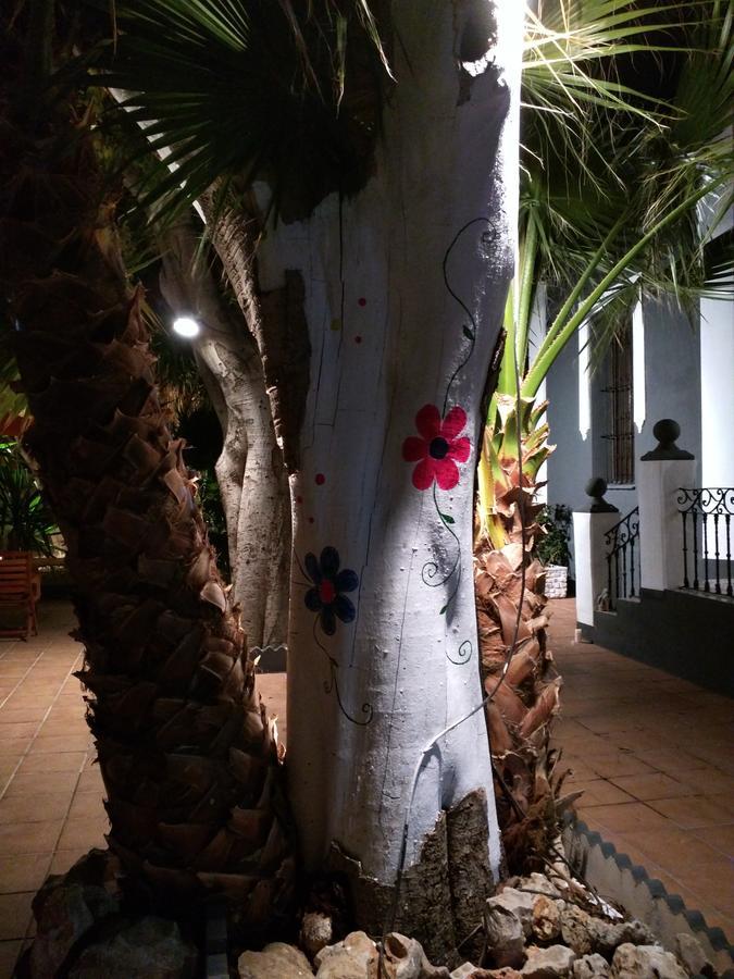 Nwt Paradise Urban Alicante