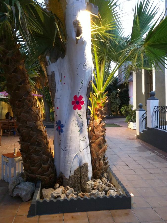 Nwt Paradise Urban Albergue Alicante