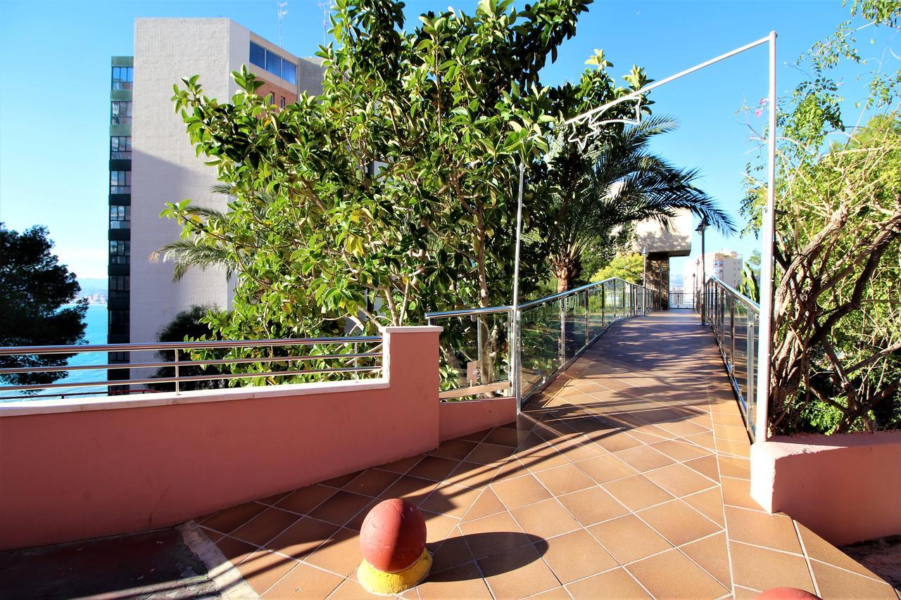 Don Miguel 3-f