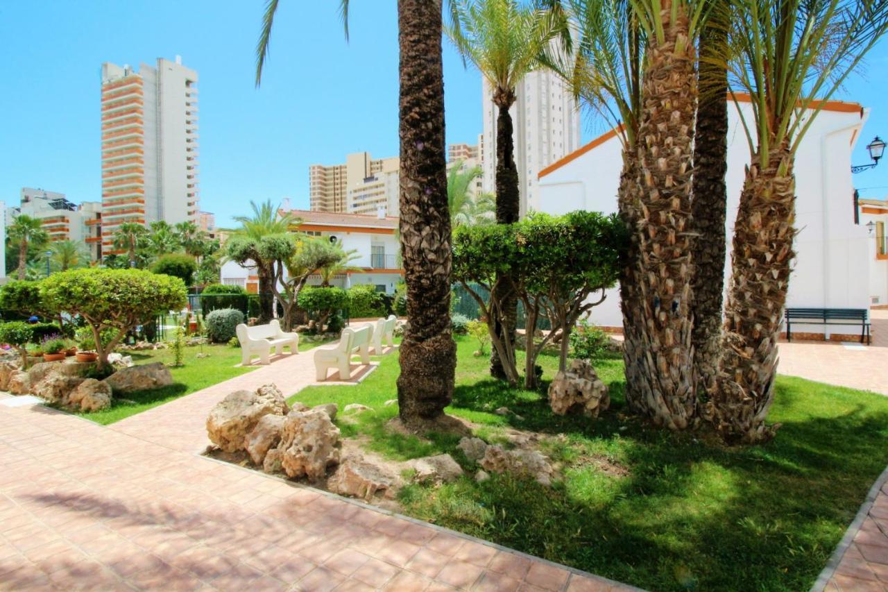 Rinconada Real 235 Alicante