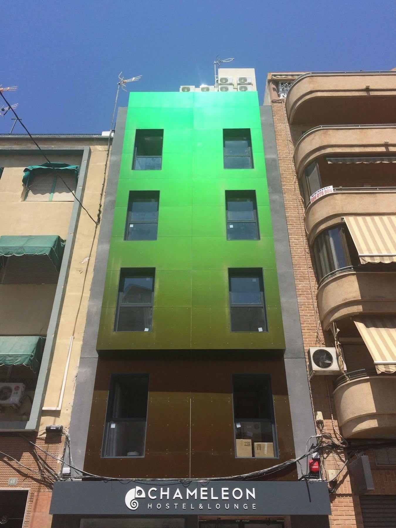 Chameleon * Alicante