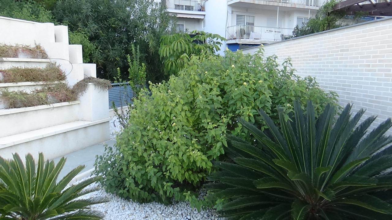 Apartamento Aпартаменты в San Juan Playa *