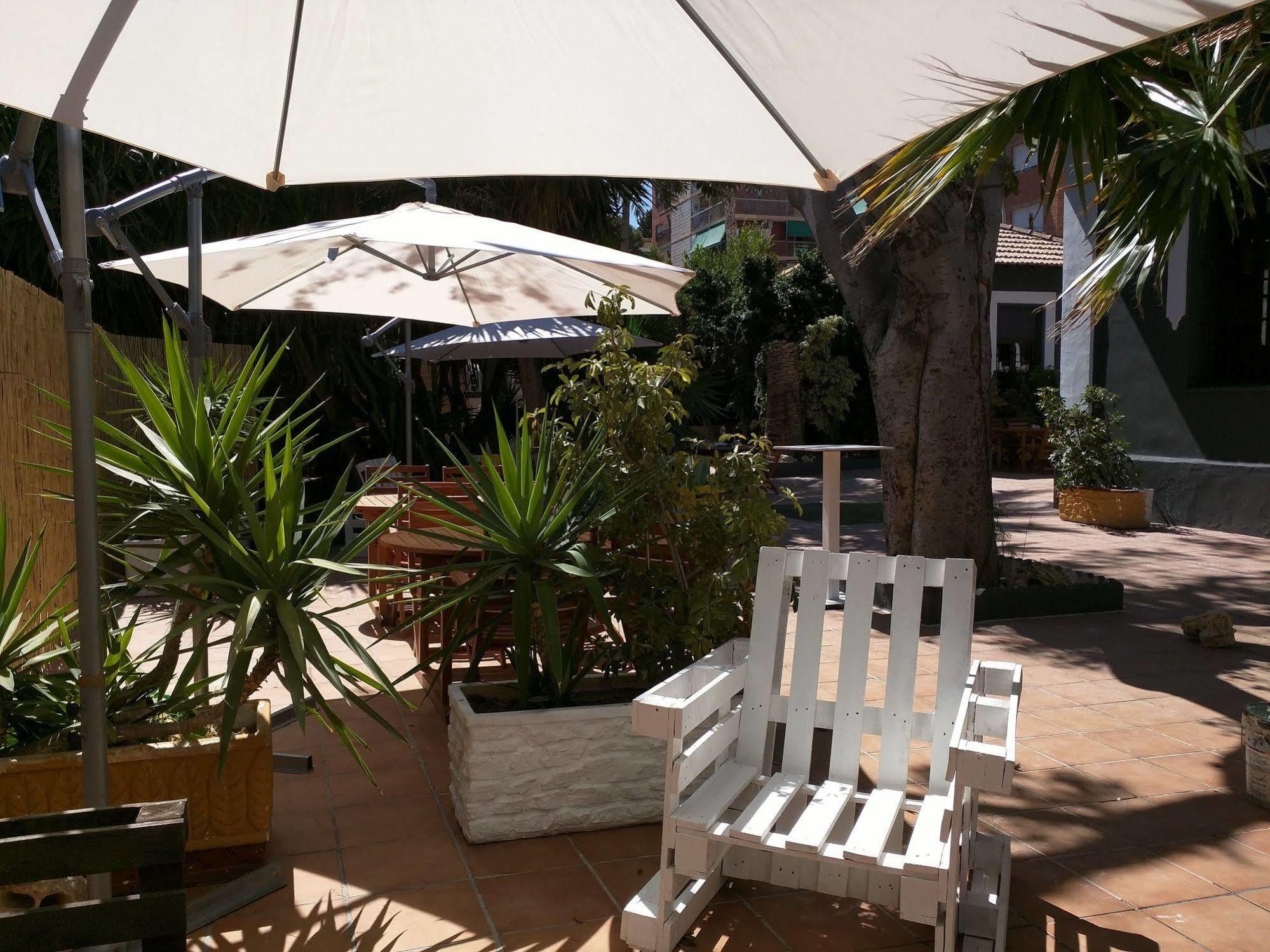 Nwt Paradise Urban Albergue Alicante