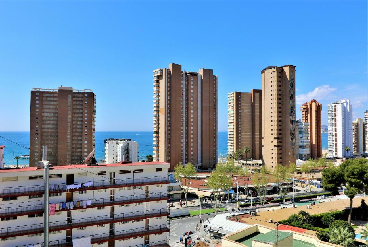 Don Paco 8-b * Alicante