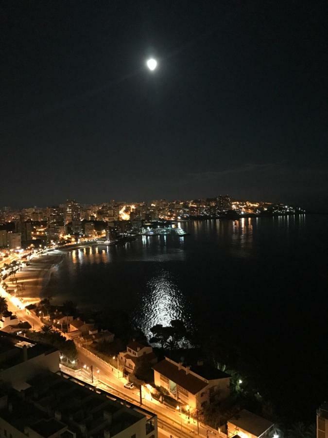 Albufereta *