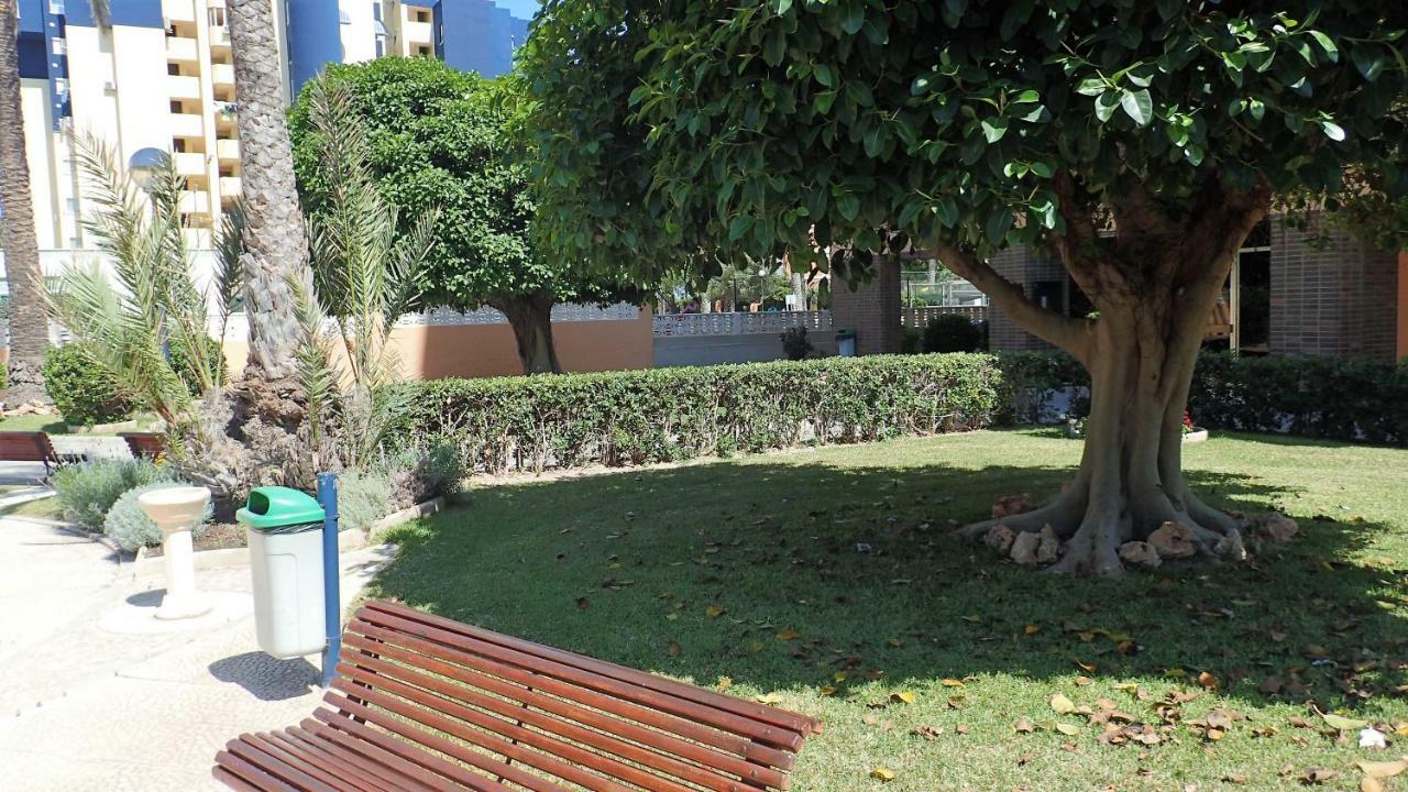 Tortuga Flat Apartamento Alicante