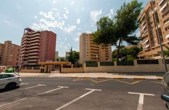 En San Juan * Alicante
